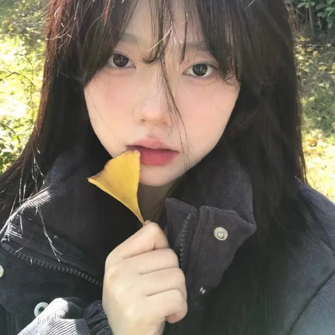 军舰春光